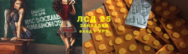 прущие грибы Каменск-Шахтинский