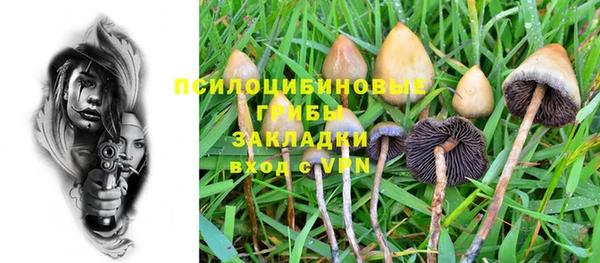 кокс Каменка