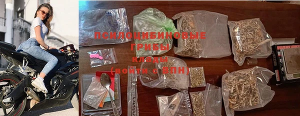 прущие грибы Каменск-Шахтинский