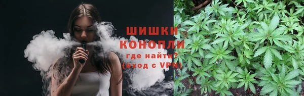 прущие грибы Каменск-Шахтинский
