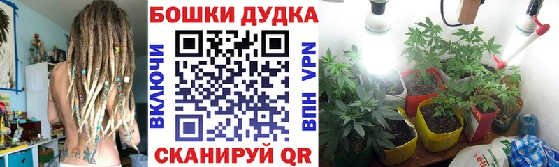 наркота  Ногинск  Бошки марихуана LSD WEED 